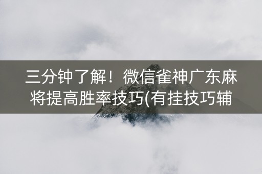 三分钟了解！微信雀神广东麻将提高胜率技巧(有挂技巧辅助器)