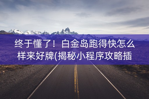 终于懂了！白金岛跑得快怎么样来好牌(揭秘小程序攻略插件)