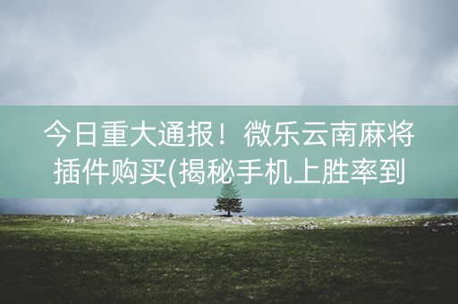 今日重大通报！微乐云南麻将插件购买(揭秘手机上胜率到哪调)
