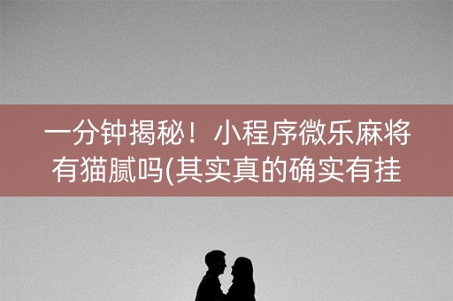 一分钟揭秘！小程序微乐麻将有猫腻吗(其实真的确实有挂)