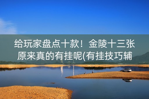 给玩家盘点十款！金陵十三张原来真的有挂呢(有挂技巧辅助器)