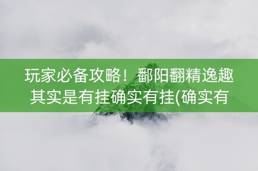 玩家必备攻略！鄱阳翻精逸趣其实是有挂确实有挂(确实有挂)