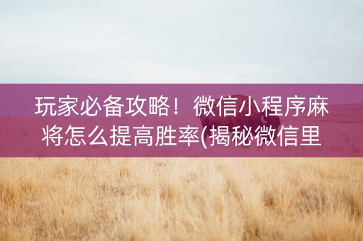 玩家必备攻略！微信小程序麻将怎么提高胜率(揭秘微信里插件下载)