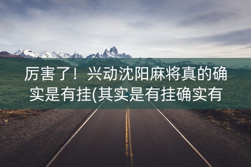 厉害了！兴动沈阳麻将真的确实是有挂(其实是有挂确实有挂)