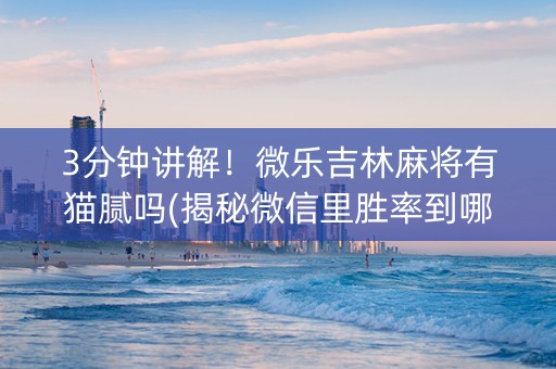 3分钟讲解！微乐吉林麻将有猫腻吗(揭秘微信里胜率到哪调)