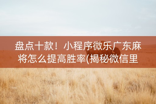 盘点十款！小程序微乐广东麻将怎么提高胜率(揭秘微信里胜率到哪调)