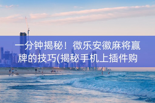 一分钟揭秘！微乐安徽麻将赢牌的技巧(揭秘手机上插件购买)