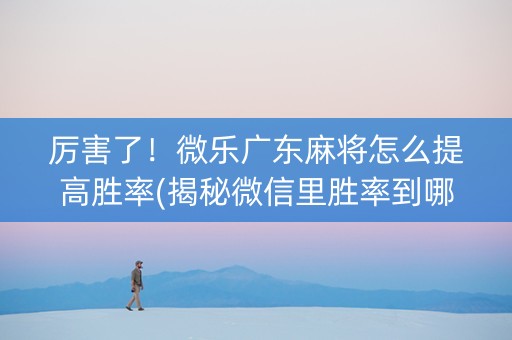 厉害了！微乐广东麻将怎么提高胜率(揭秘微信里胜率到哪调)