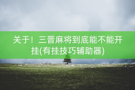 关于！三晋麻将到底能不能开挂(有挂技巧辅助器)