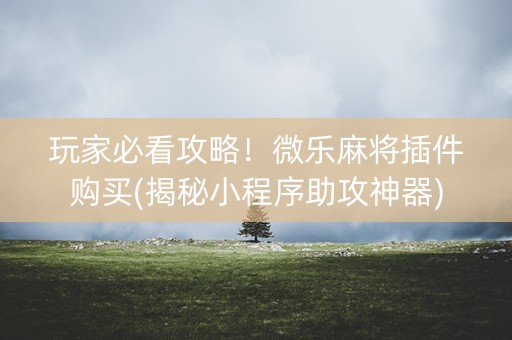 玩家必看攻略！微乐麻将插件购买(揭秘小程序助攻神器)