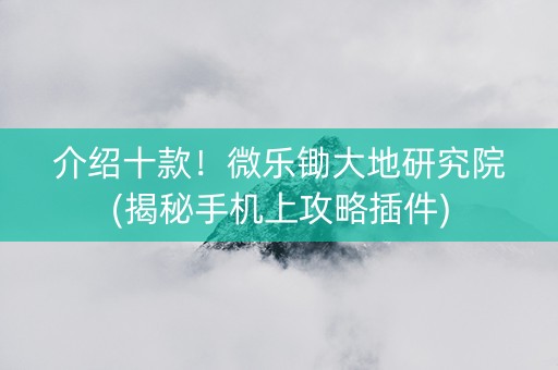 介绍十款！微乐锄大地研究院(揭秘手机上攻略插件)