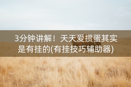 3分钟讲解！天天爱掼蛋其实是有挂的(有挂技巧辅助器)