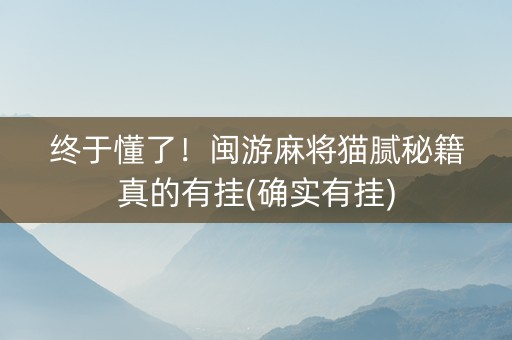 终于懂了！闽游麻将猫腻秘籍真的有挂(确实有挂)