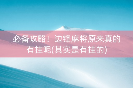 必备攻略！边锋麻将原来真的有挂呢(其实是有挂的)