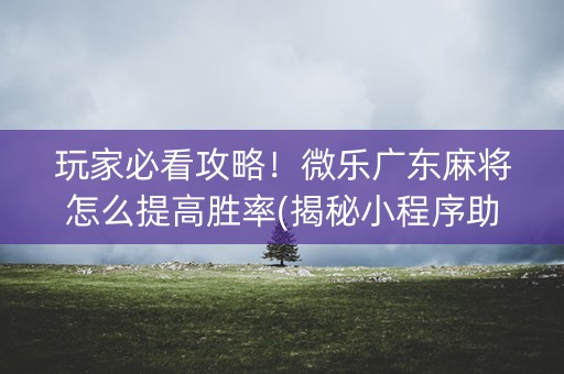 玩家必看攻略！微乐广东麻将怎么提高胜率(揭秘小程序助赢神器)