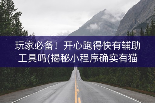 玩家必备！开心跑得快有辅助工具吗(揭秘小程序确实有猫腻)