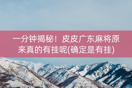 一分钟揭秘！皮皮广东麻将原来真的有挂呢(确定是有挂)