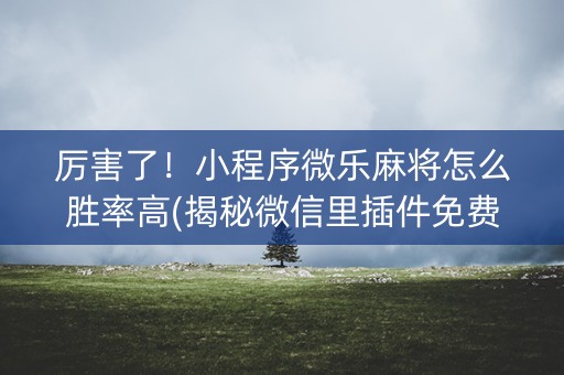 厉害了！小程序微乐麻将怎么胜率高(揭秘微信里插件免费)