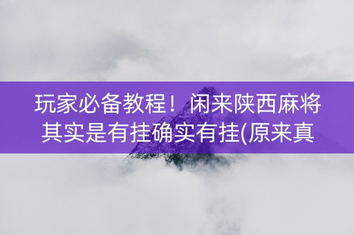 玩家必备教程！闲来陕西麻将其实是有挂确实有挂(原来真的有挂)