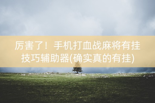 厉害了！手机打血战麻将有挂技巧辅助器(确实真的有挂)
