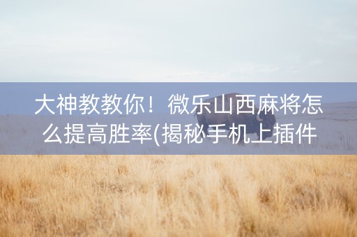 大神教教你！微乐山西麻将怎么提高胜率(揭秘手机上插件下载)