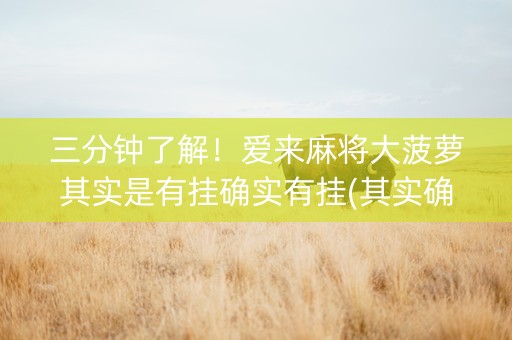 三分钟了解！爱来麻将大菠萝其实是有挂确实有挂(其实确实有挂)