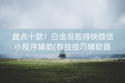 盘点十款！白金岛跑得快微信小程序辅助(有挂技巧辅助器)