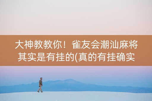 大神教教你！雀友会潮汕麻将其实是有挂的(真的有挂确实有挂)