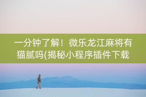 一分钟了解！微乐龙江麻将有猫腻吗(揭秘小程序插件下载)