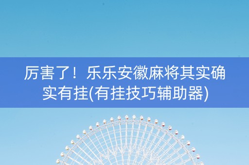 厉害了！乐乐安徽麻将其实确实有挂(有挂技巧辅助器)