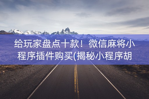 给玩家盘点十款！微信麻将小程序插件购买(揭秘小程序胡牌神器)