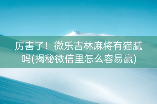 厉害了！微乐吉林麻将有猫腻吗(揭秘微信里怎么容易赢)