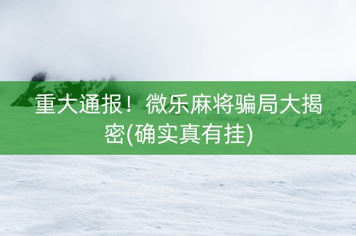重大通报！微乐麻将骗局大揭密(确实真有挂)