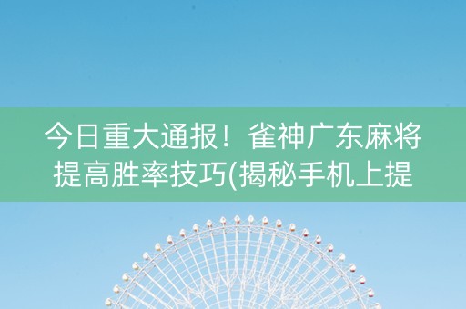 今日重大通报！雀神广东麻将提高胜率技巧(揭秘手机上提高胜率)
