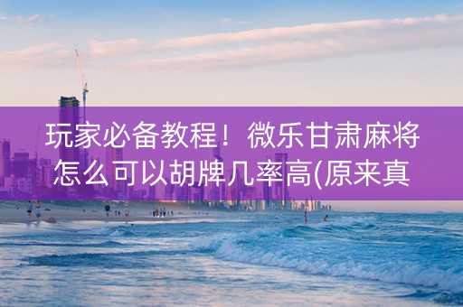玩家必备教程！微乐甘肃麻将怎么可以胡牌几率高(原来真的有挂)
