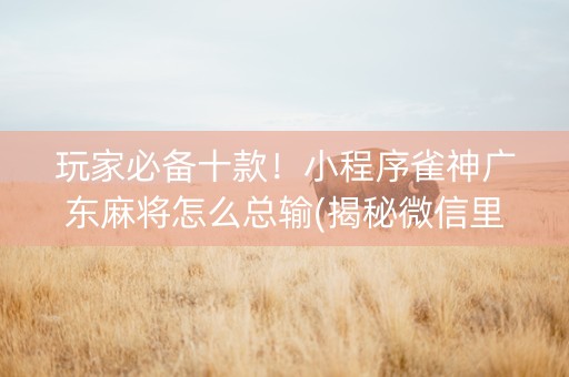 玩家必备十款！小程序雀神广东麻将怎么总输(揭秘微信里辅牌器)