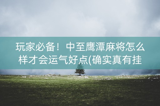 玩家必备！中至鹰潭麻将怎么样才会运气好点(确实真有挂)