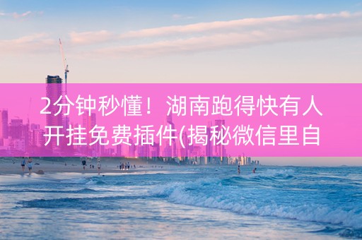 2分钟秒懂！湖南跑得快有人开挂免费插件(揭秘微信里自建房怎么赢)