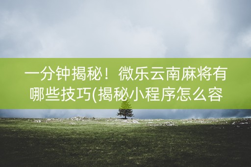 一分钟揭秘！微乐云南麻将有哪些技巧(揭秘小程序怎么容易赢)