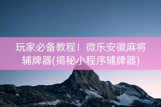 玩家必备教程！微乐安徽麻将辅牌器(揭秘小程序辅牌器)