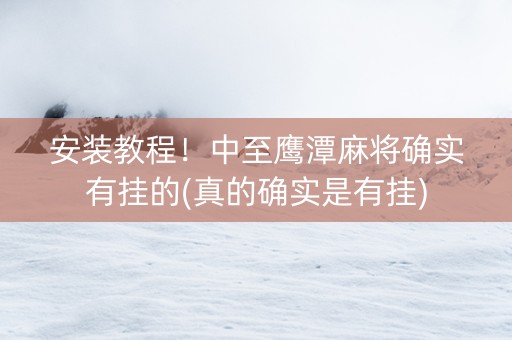 安装教程！中至鹰潭麻将确实有挂的(真的确实是有挂)