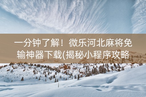 一分钟了解！微乐河北麻将免输神器下载(揭秘小程序攻略插件)