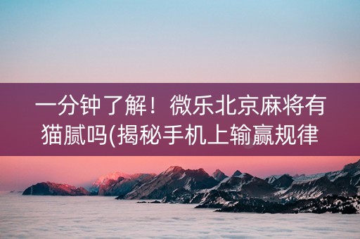 一分钟了解！微乐北京麻将有猫腻吗(揭秘手机上输赢规律)