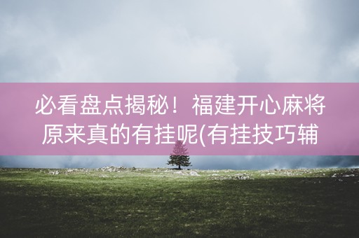 必看盘点揭秘！福建开心麻将原来真的有挂呢(有挂技巧辅助器)