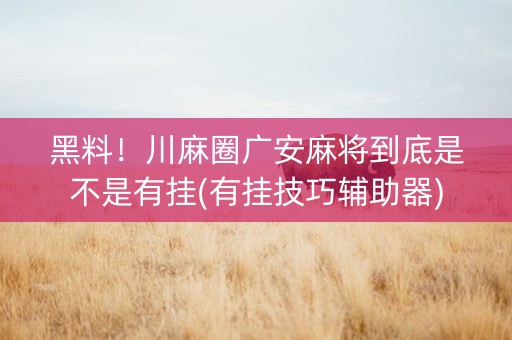 黑料！川麻圈广安麻将到底是不是有挂(有挂技巧辅助器)