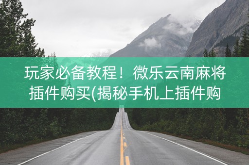 玩家必备教程！微乐云南麻将插件购买(揭秘手机上插件购买)
