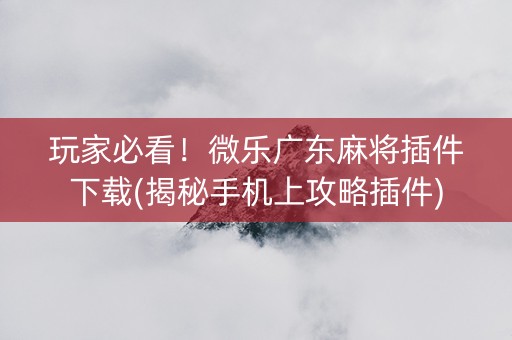 玩家必看！微乐广东麻将插件下载(揭秘手机上攻略插件)