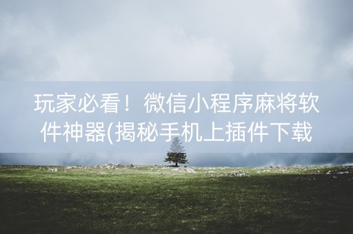 玩家必看！微信小程序麻将软件神器(揭秘手机上插件下载)
