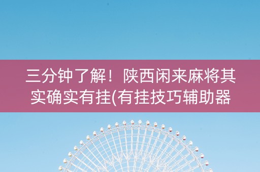 三分钟了解！陕西闲来麻将其实确实有挂(有挂技巧辅助器)