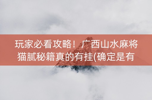 玩家必看攻略！广西山水麻将猫腻秘籍真的有挂(确定是有挂)